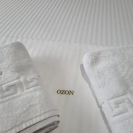 Ozon 招待所 艾福雷诺德