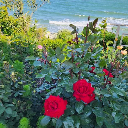 Ozon 招待所 艾福雷诺德