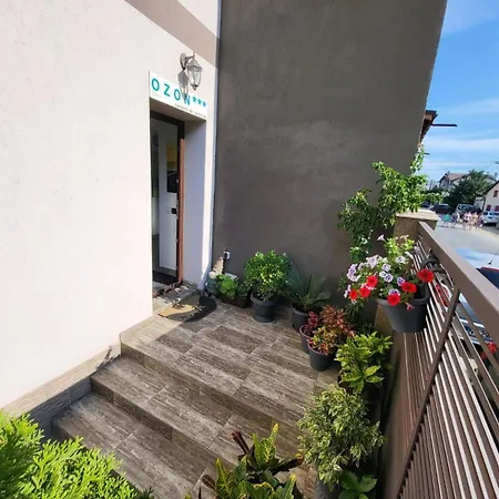 Ozon 艾福雷诺德