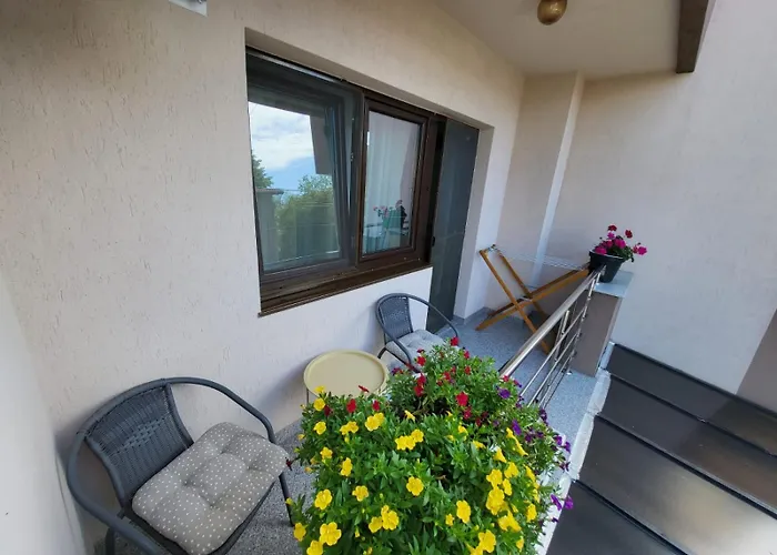 게스트하우스 Ozon