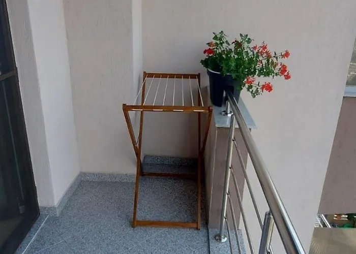 게스트하우스 Ozon